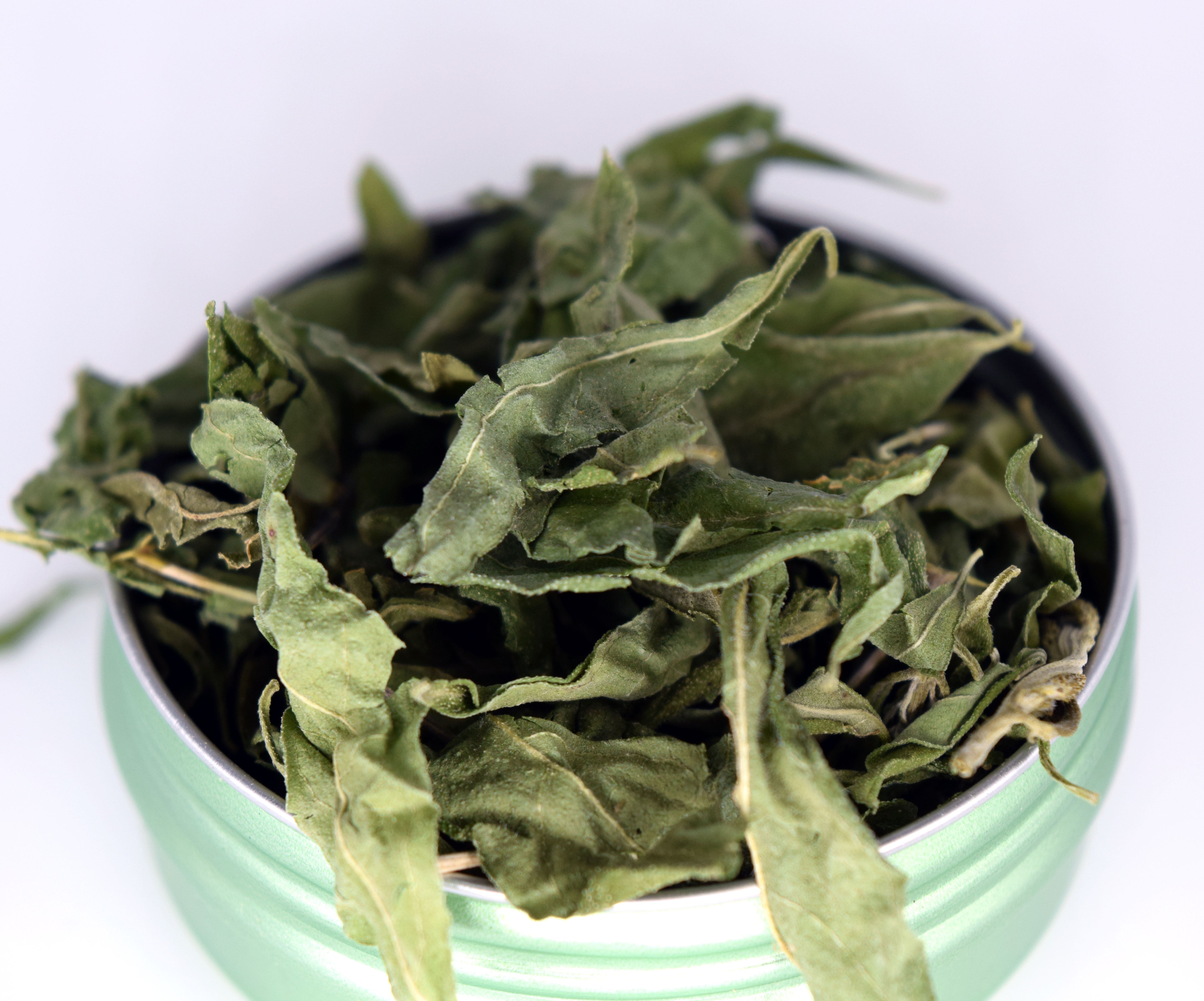 Natures Miracle Plants: Whitebrush, Sumac, and Passionflower