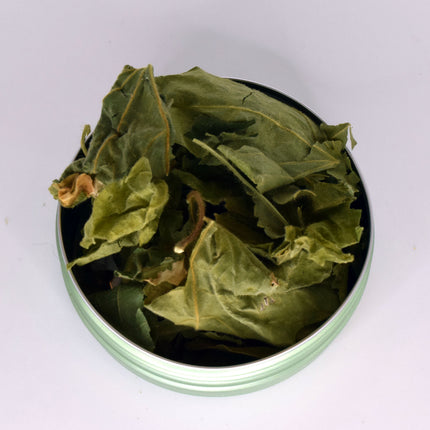 Passionflora