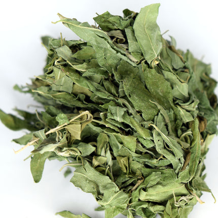 Whitebrush Loose Leaf Tea