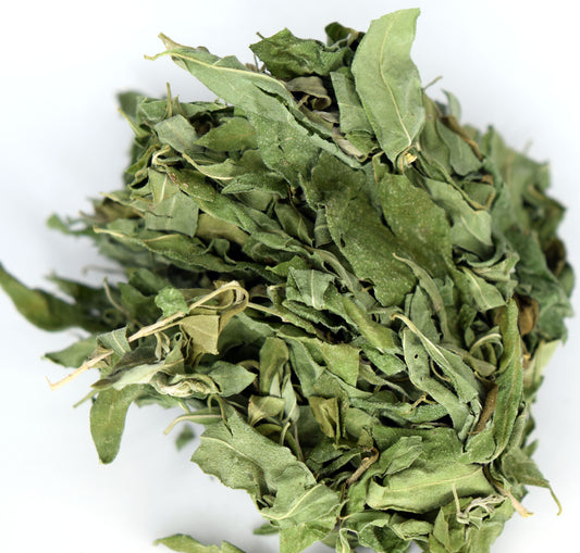 Whitebrush Loose Leaf Tea