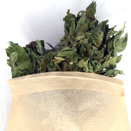 Whitebrush Loose Leaf Tea