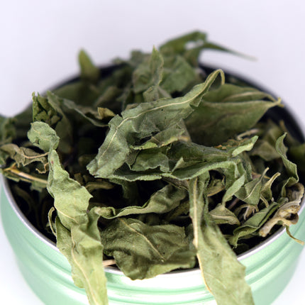 Whitebrush Loose Leaf Tea