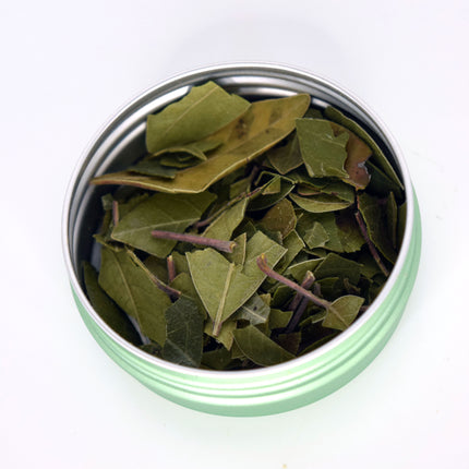 Evergreen Sumac