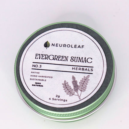 Evergreen Sumac