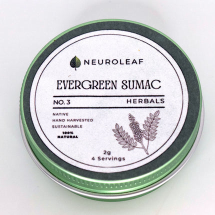 Evergreen Sumac
