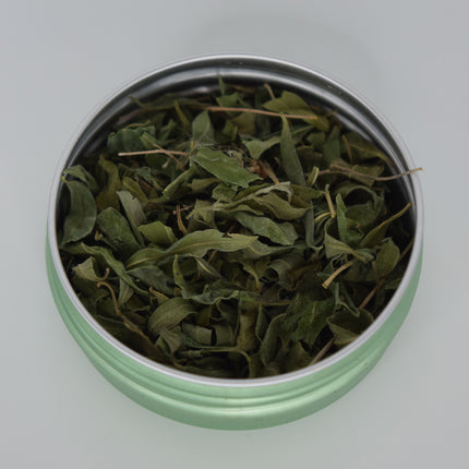 Whitebrush Loose Leaf Tea