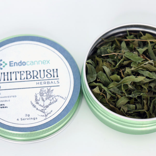 Whitebrush Loose Leaf Tea